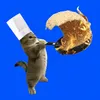 Cookcat