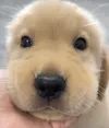 富贵