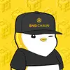 Budgy Benguin