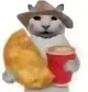 没经济没建模的小猫