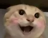 哈基米