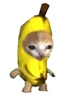 bananacat
