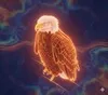 Aura Farming Eagle