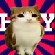 瓜皮
