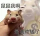 鼠鼠我啊