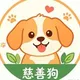 慈善狗