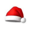 Santa Hat Cult