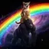 Dog Cat Ape