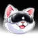 ICAT