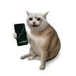 Billetera STOCKCAT