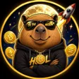 Billetera 卡皮巴拉