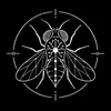 FlyBrain