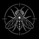 FLYBRAIN