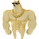SWOGE