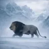 The Tibetan Snow Lion