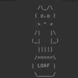 Portafoglio LOAFCAT