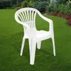 The Plastic Chair
