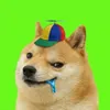 Stupid Inu