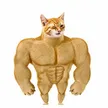 Кошелек Swole Cat