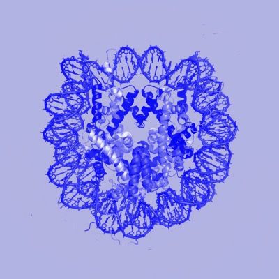 FOLD