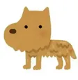 土狗 Wallet