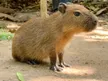 น้องวัน 钱包