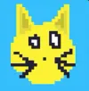 Solana Cat