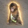 ナッツくん