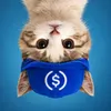 UpSideDownCat