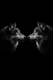 Billetera two wolves