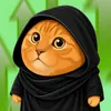 Cat Cult