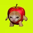 Billetera Apple Cat