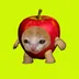 APPLCAT