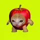 APPLCAT