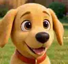 buddy