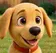 buddy