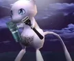 bushymew 钱包