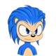 SOLNIC