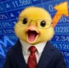 Quack Quack Quack
