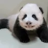 슈바오