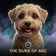 DUKE