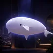The Floating Companion 錢包