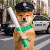BATON