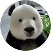 彪眼熊猫