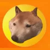 Copper Inu