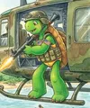 Franklin The Turtle