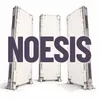 NOESIS Network
