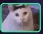 Huhcat token on Solana
