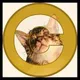 CATE