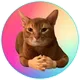 CATWIF